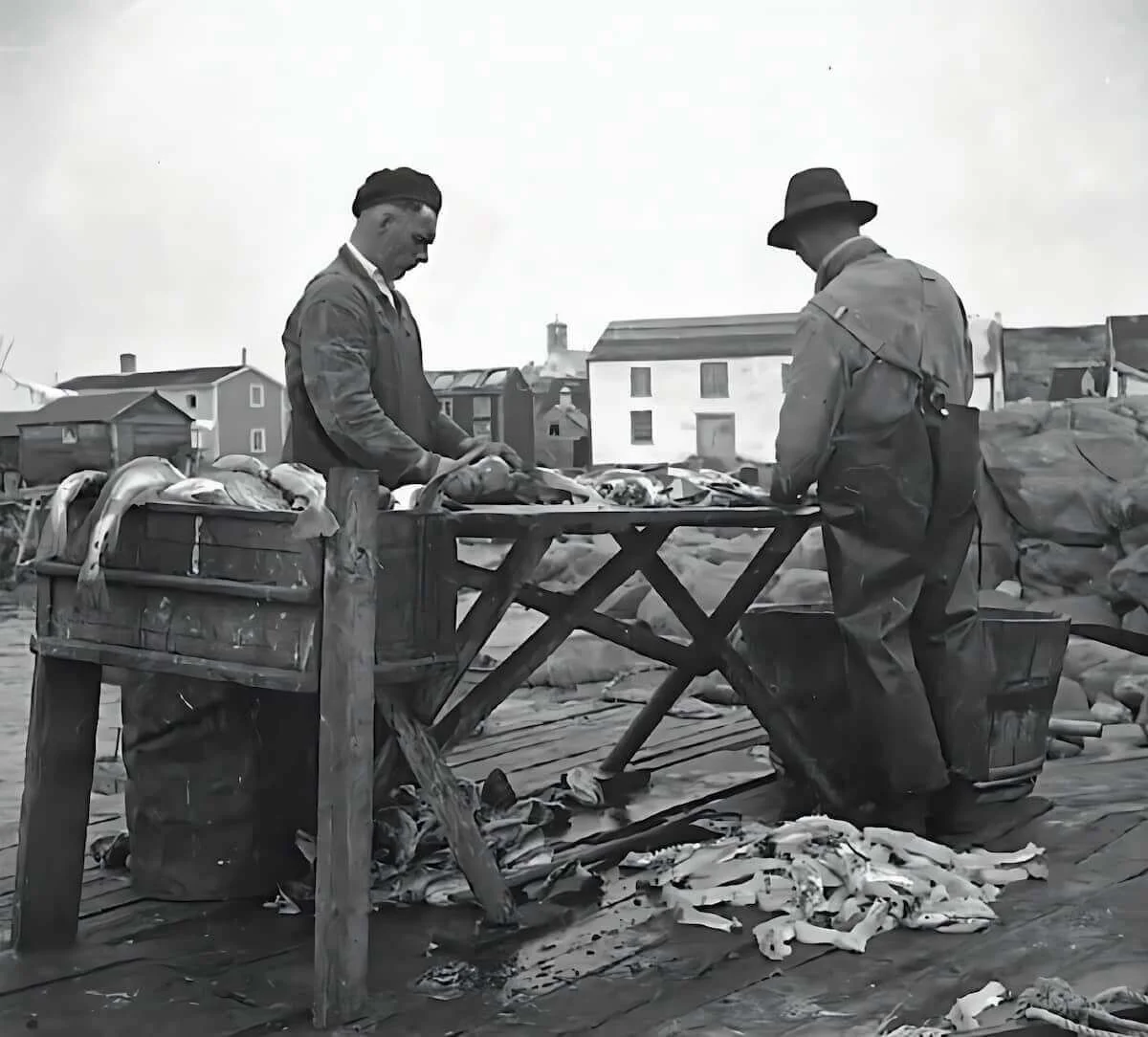 Lavorazione e taglio del merluzzo