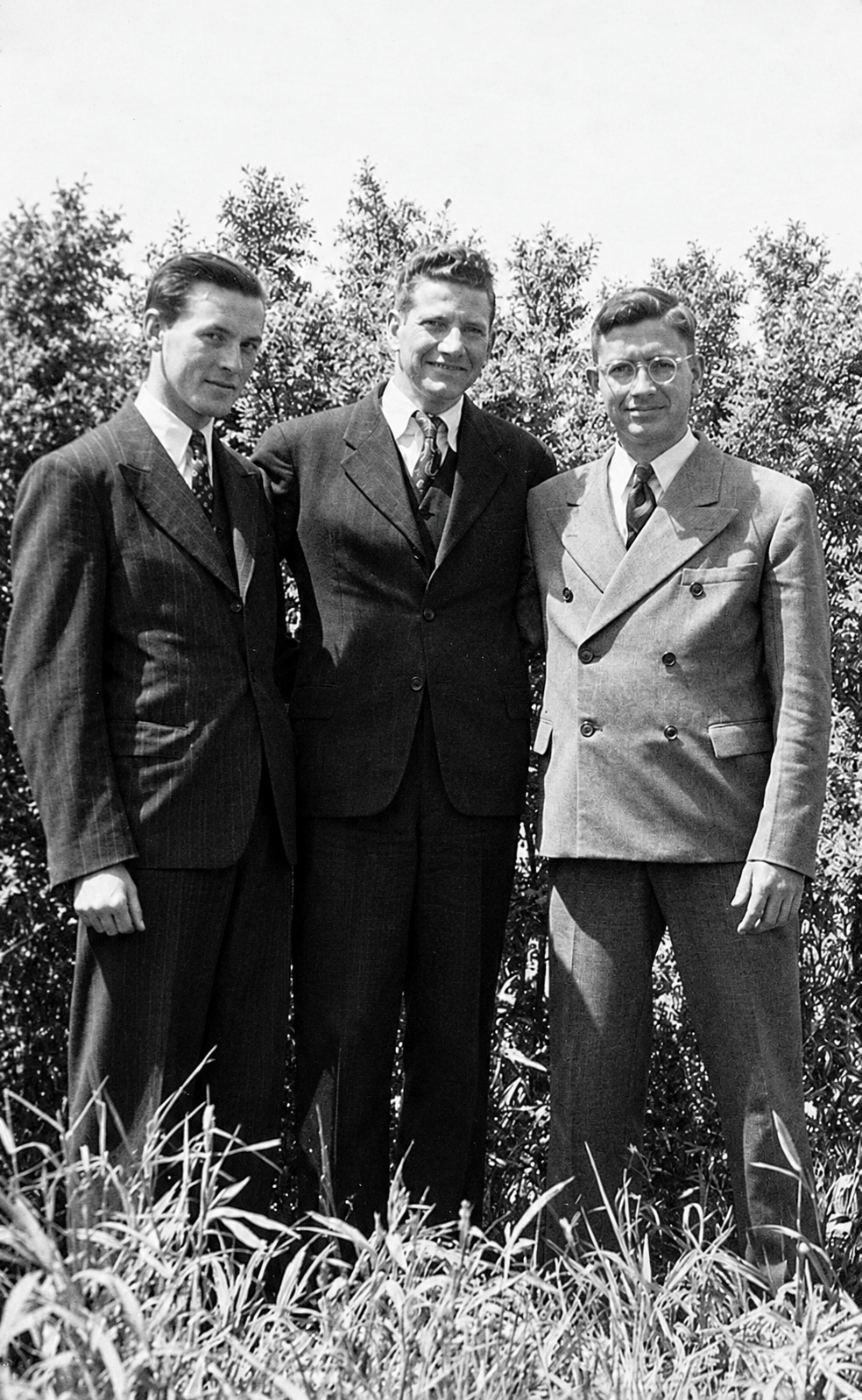 MM. Langevin, Auger et Lippé