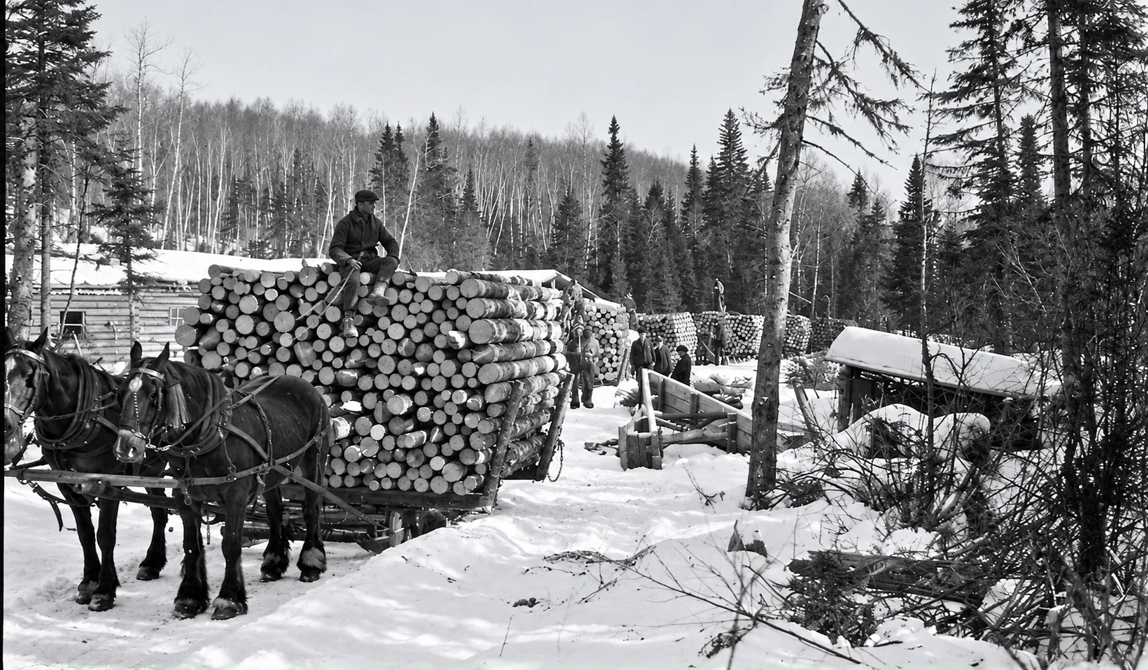 Archival photograph of the North Shore logging camps, image 16