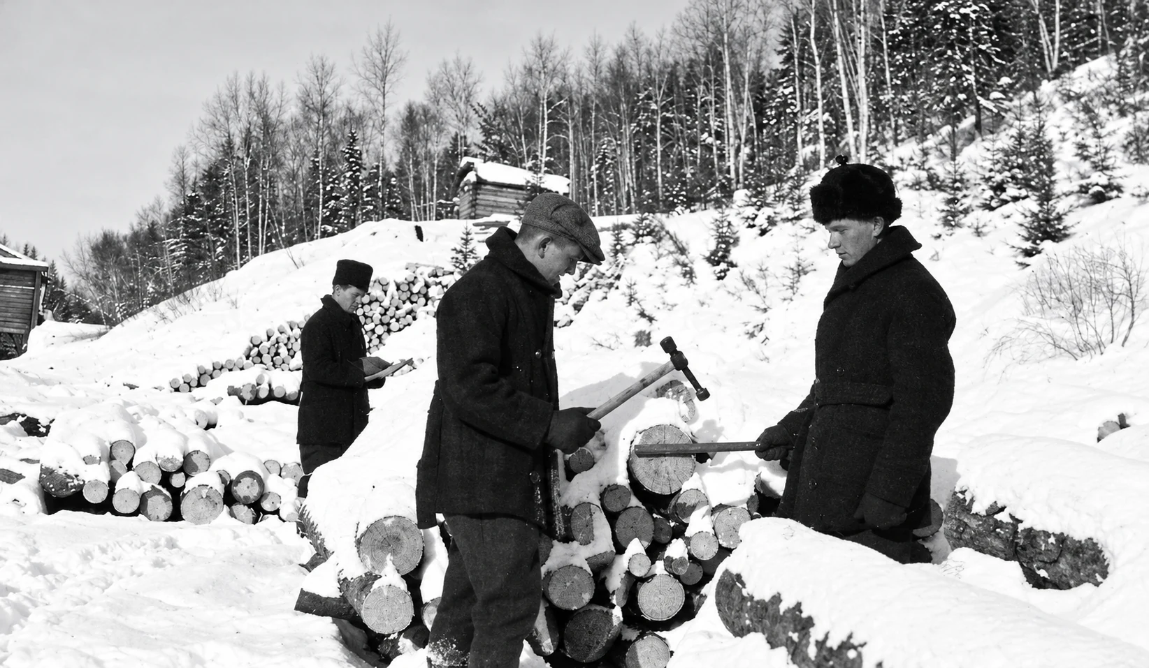 Archival photograph of the North Shore logging camps, image 5