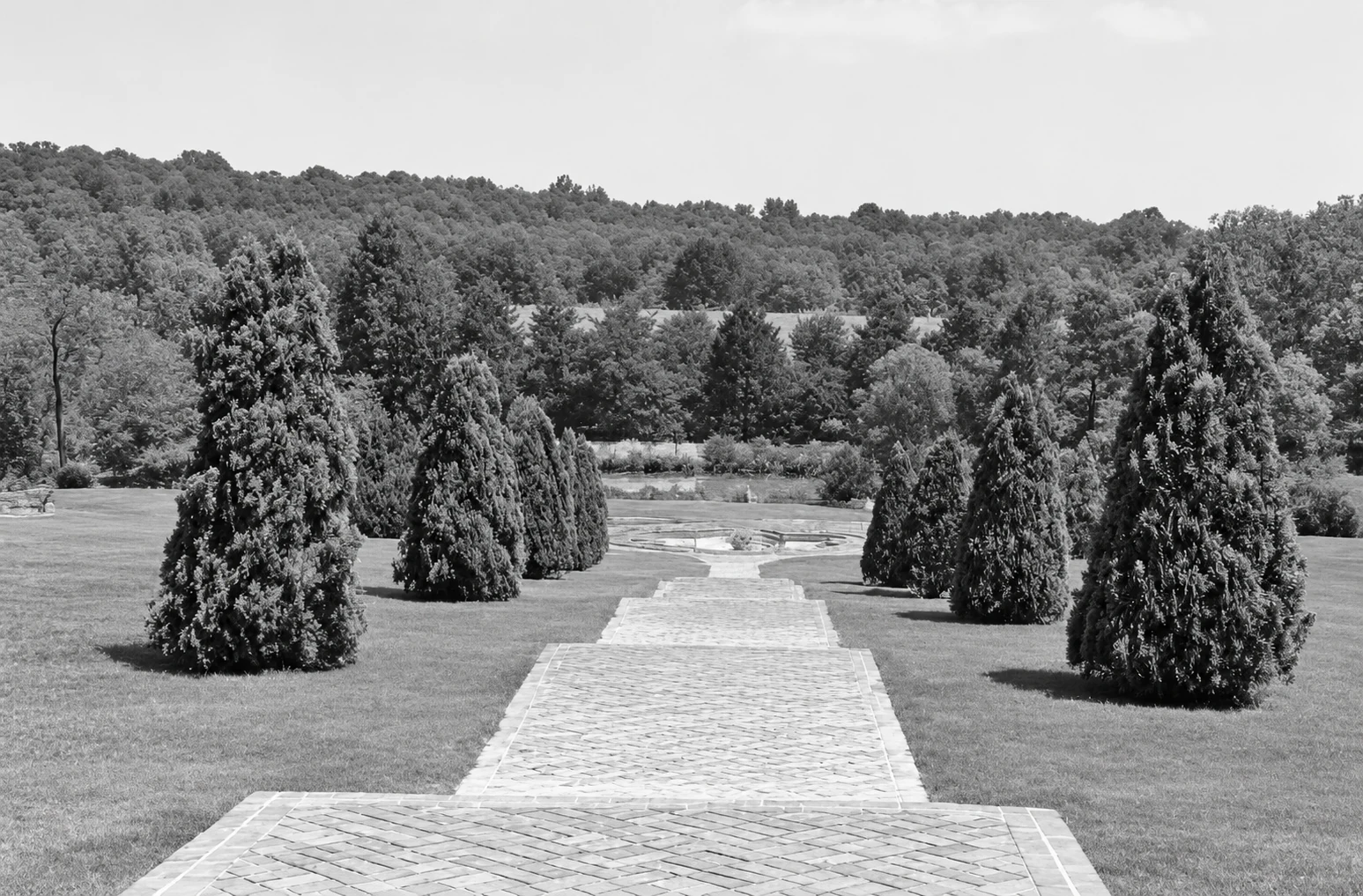 Giardini
